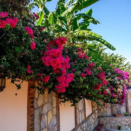 Palmetto Vip Nocleg ze śniadaniem Selimiye (Aegean)