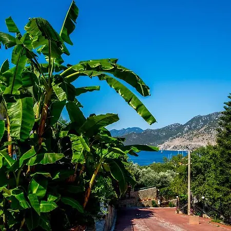 Palmetto Vip Selimiye (Aegean)