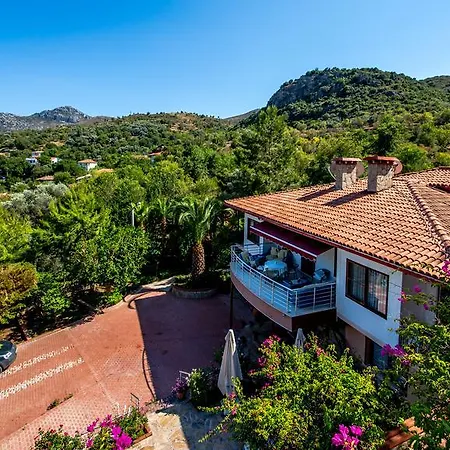 Nocleg ze śniadaniem Palmetto Vip Selimiye (Aegean)